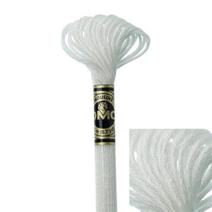 Mouliné Light Effect 317W - DMC - - LacariaRicami.Store