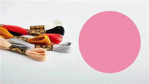 Mouliné Spécial 117MC ROSA - DMC - - LacariaRicami.Store