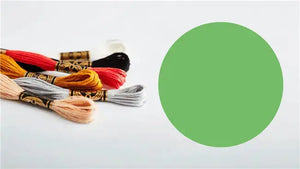 Mouliné Spécial 117MC VERDE - DMC - - LacariaRicami.Store