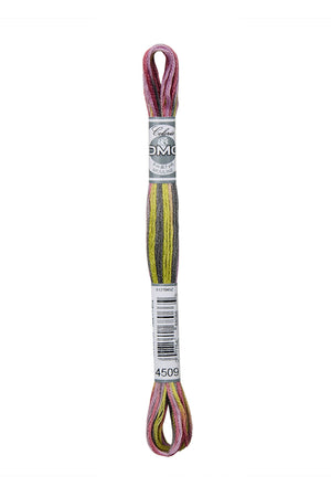 Mouliné Coloris REF.517 - DMC - Colore: 4509 - by LacariaRicami.Store