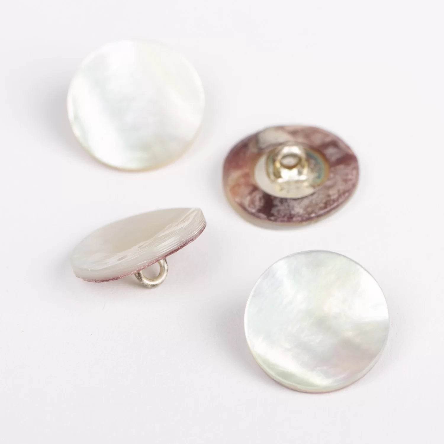 Bottone Di Conchiglia CON ANELLO - - LacariaRicami.Store