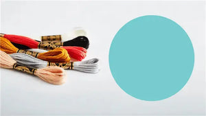 Mouliné Spécial 117MC TURCHESE - DMC - - LacariaRicami.Store