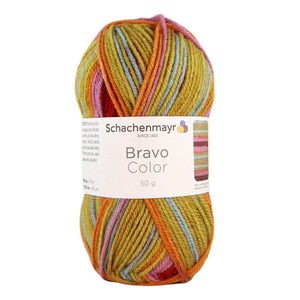Lana Bravo Color – Schachenmayr - Colore: 02147 - kaida color - by LacariaRicami.Store