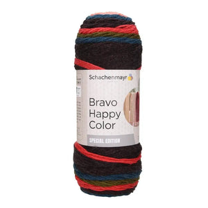 LANA Bravo Happy Color – Schachenmayr - 02076 - Farfalla - LacariaRicami.Store