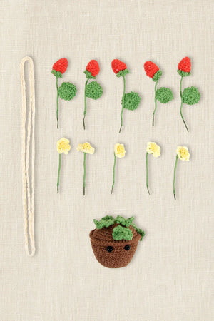 KIT Amigurumi FRAGOLE ESTIVE di Nuria Picos - DMC - Colore: - by LacariaRicami.Store