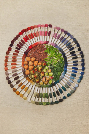 MATASSINE Eco Vita Filato di LANA Organica Con Tinture Naturali - DMC - - LacariaRicami.Store