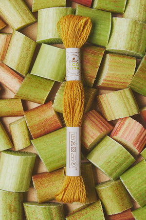 MATASSINE Eco Vita Filato di LANA Organica Con Tinture Naturali - DMC - - LacariaRicami.Store