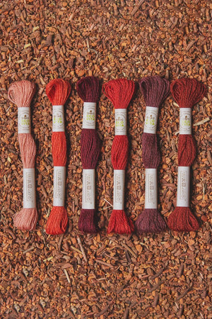 MATASSINE Eco Vita Filato di LANA Organica Con Tinture Naturali - DMC - - LacariaRicami.Store