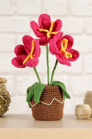 Kit Amigurumi Vaso con fiori di Nuria Picos kit intermedio - DMC - Colore: - by LacariaRicami.Store