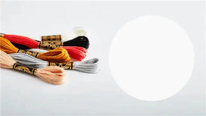 Mouliné Spécial 117MC CHIARI - DMC - - LacariaRicami.Store