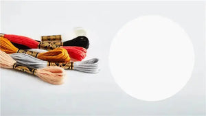 Mouliné Spécial 117MC CHIARI - DMC - - LacariaRicami.Store