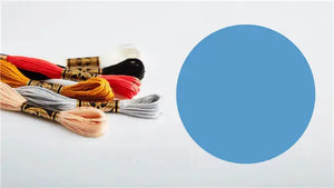 Mouliné Spécial 117MC BLU - DMC - - LacariaRicami.Store