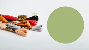 Mouliné Spécial 117MC - VERDE CHIARO - DMC - - LacariaRicami.Store