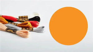 Mouliné Spécial 117MC ARANCIONE - DMC - - LacariaRicami.Store