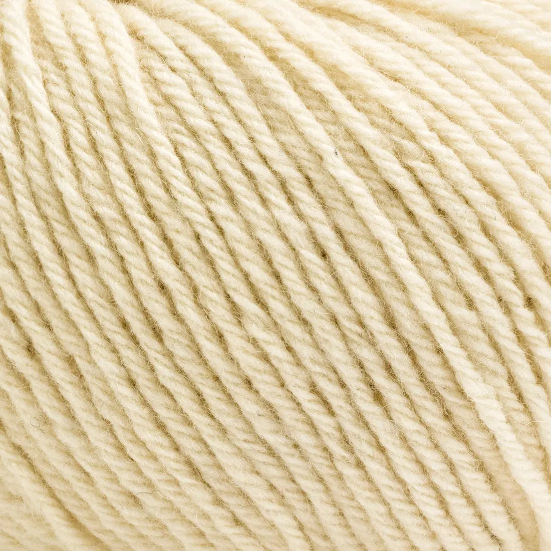 Lana ECOCASHMERE - Bertagna Filati - Colore: - by LacariaRicami.Store