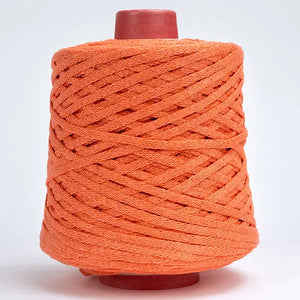 Fettuccia FETTUCCIONE - Bertagna Filati - 51 - SALMONE - LacariaRicami.Store