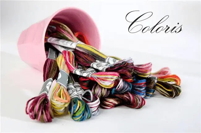 Mouliné Coloris REF.517 - DMC - - LacariaRicami.Store
