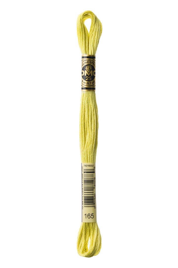 Mouliné Spécial 117MC - VERDE CHIARO - DMC - - LacariaRicami.Store