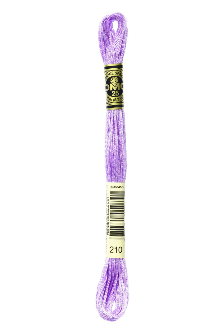 Mouliné Spécial 117MC VIOLA - DMC - - LacariaRicami.Store