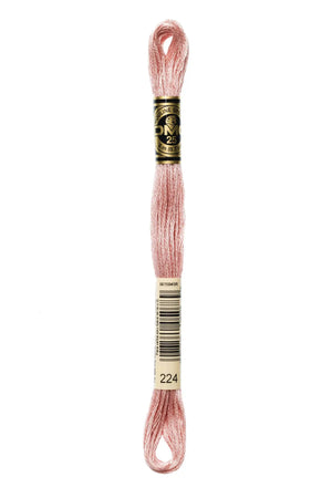 Mouliné Spécial 117MC ROSA - DMC - - LacariaRicami.Store