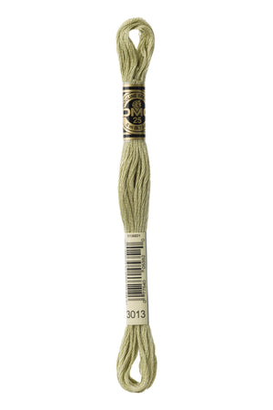 Mouliné Spécial 117MC - VERDE CHIARO - DMC - - LacariaRicami.Store