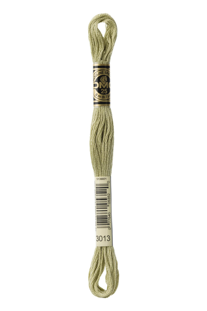 Mouliné Spécial 117MC - VERDE CHIARO - DMC - - LacariaRicami.Store