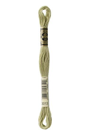 Mouliné Spécial 117MC - VERDE CHIARO - DMC - - LacariaRicami.Store