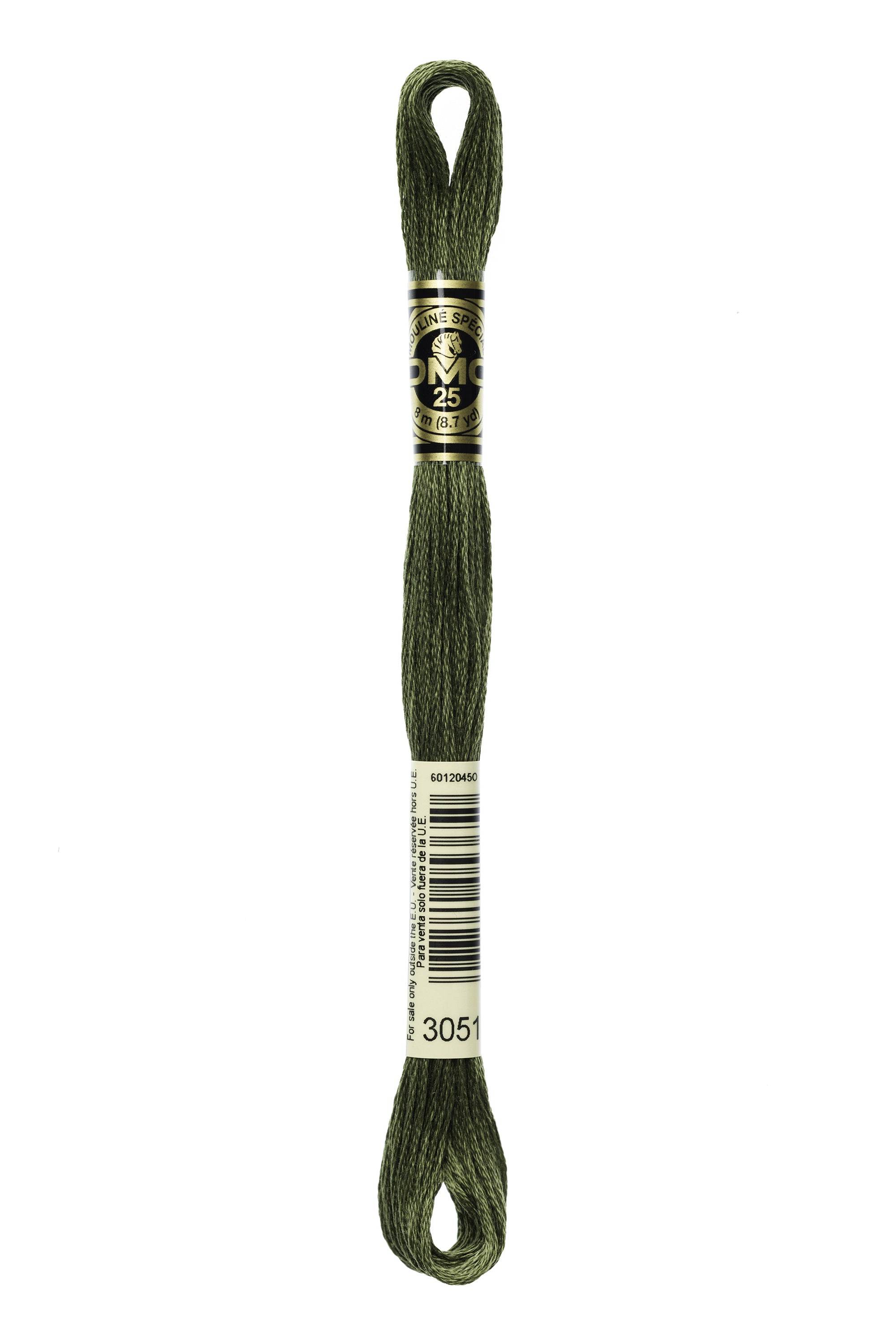 Zoom 3051