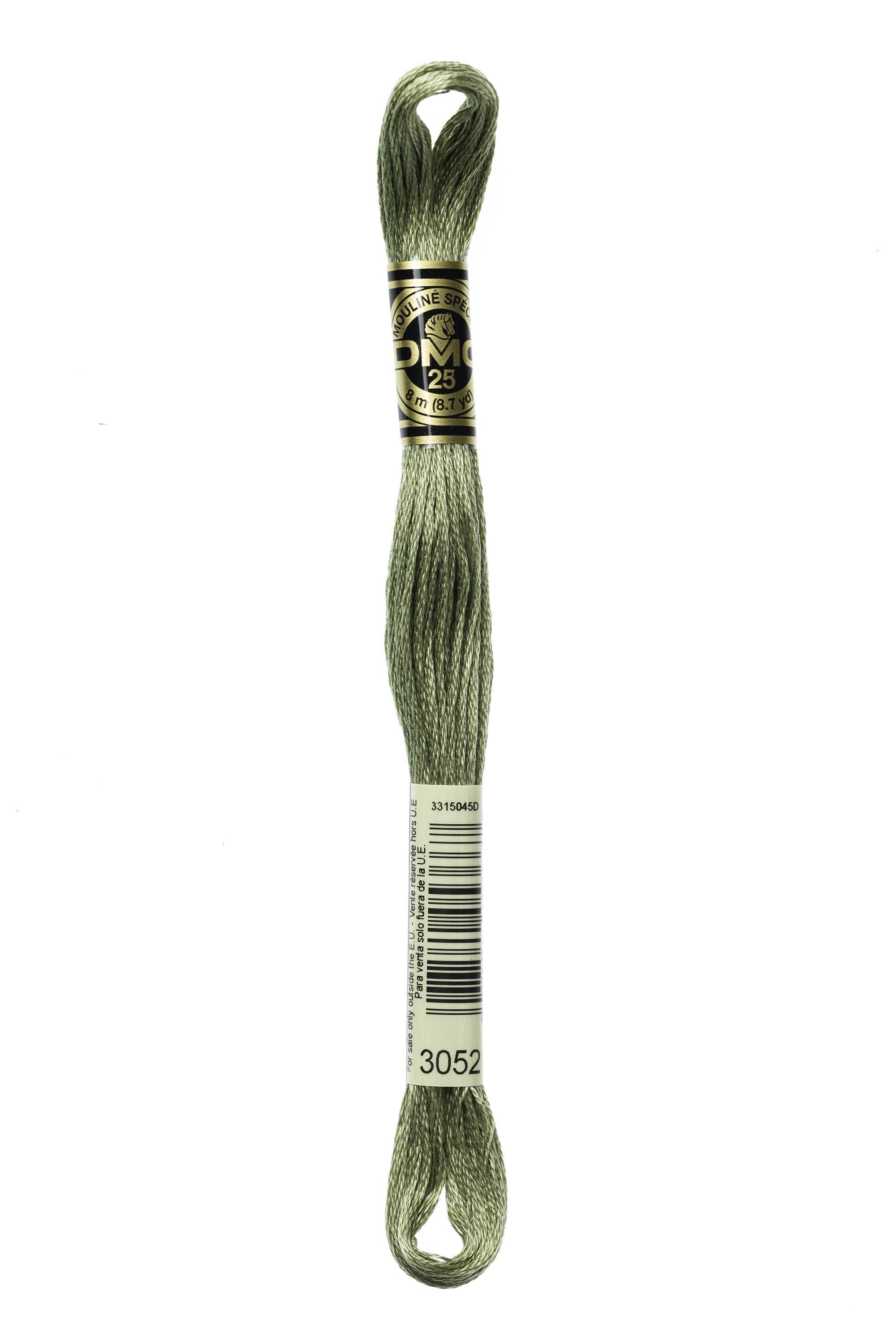 Zoom 3052