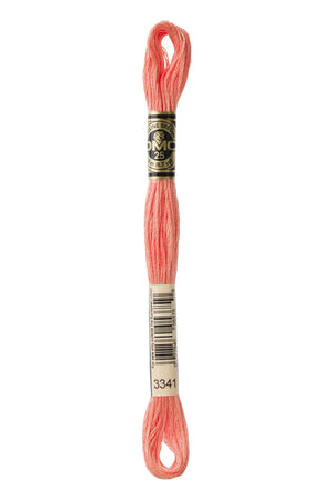 Mouliné Spécial 117MC ROSA - DMC - - LacariaRicami.Store