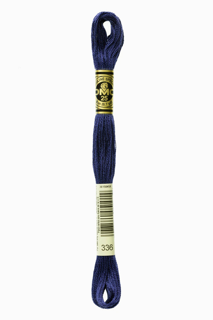 Mouliné Spécial 117MC BLU - DMC - - LacariaRicami.Store