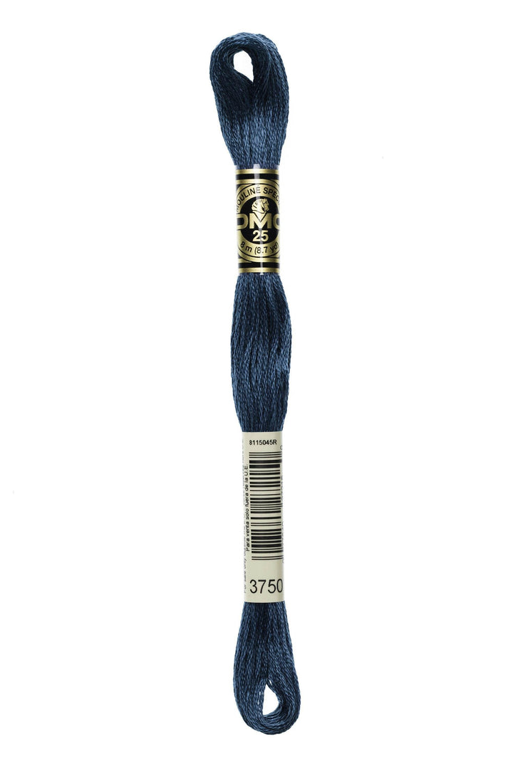 Mouliné Spécial 117MC BLU - DMC - - LacariaRicami.Store