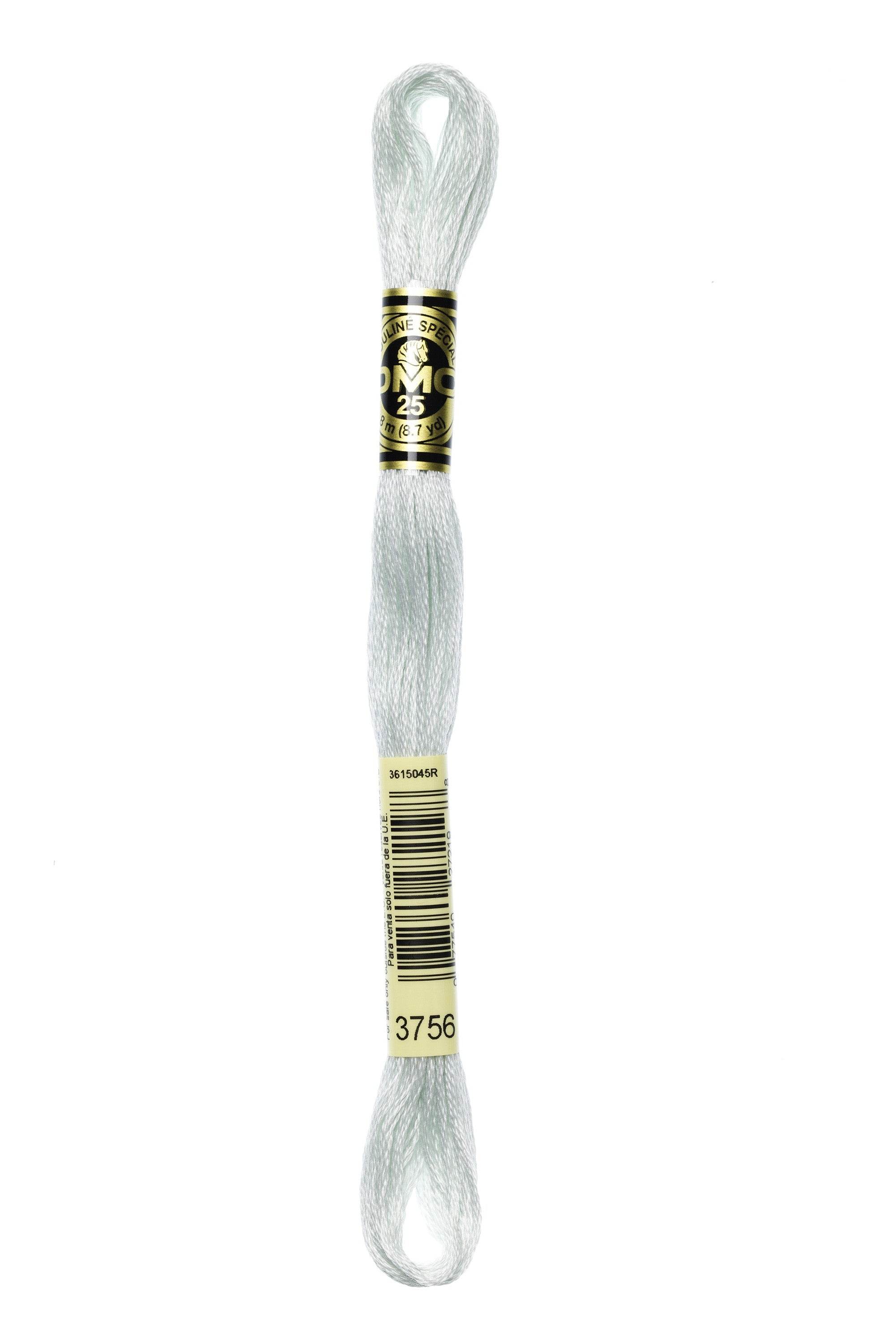 Zoom 3756