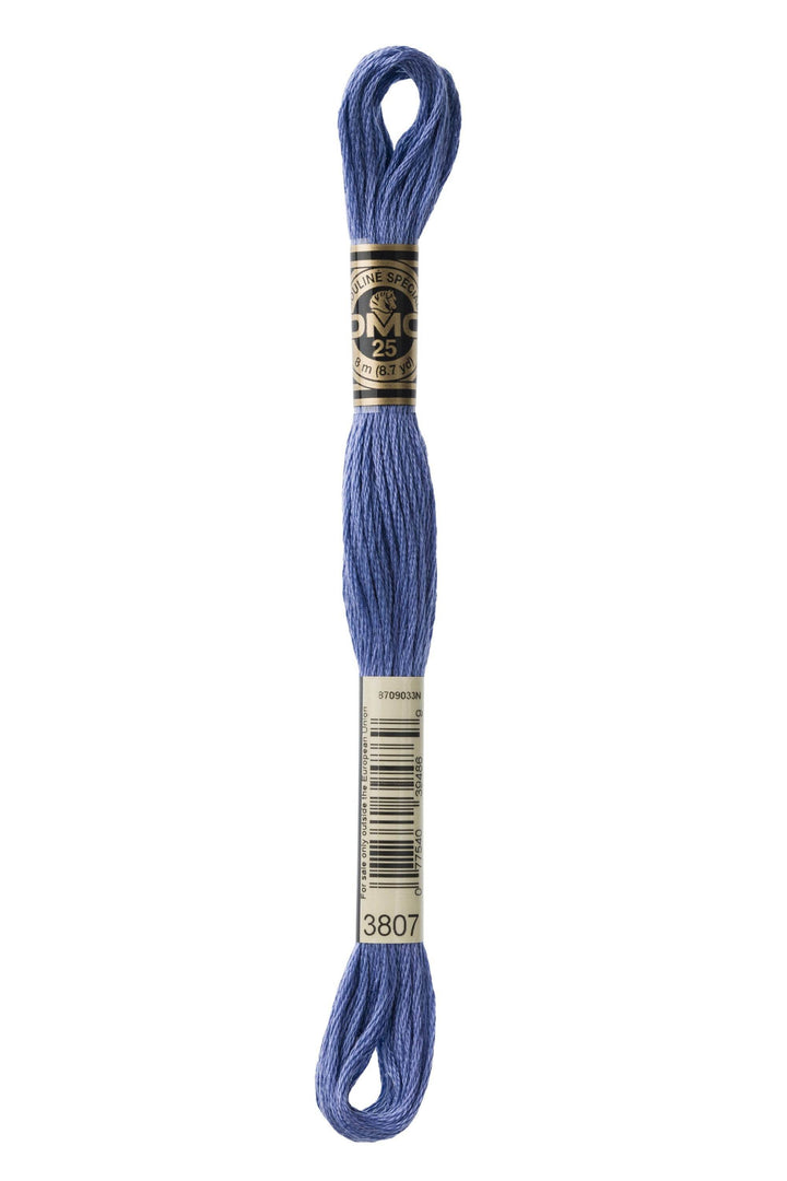 Mouliné Spécial 117MC BLU - DMC - - LacariaRicami.Store