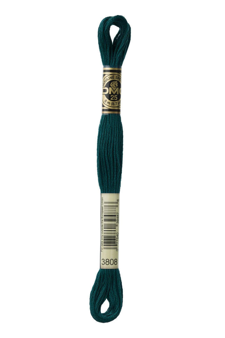 Mouliné Spécial 117MC VERDE - DMC - - LacariaRicami.Store