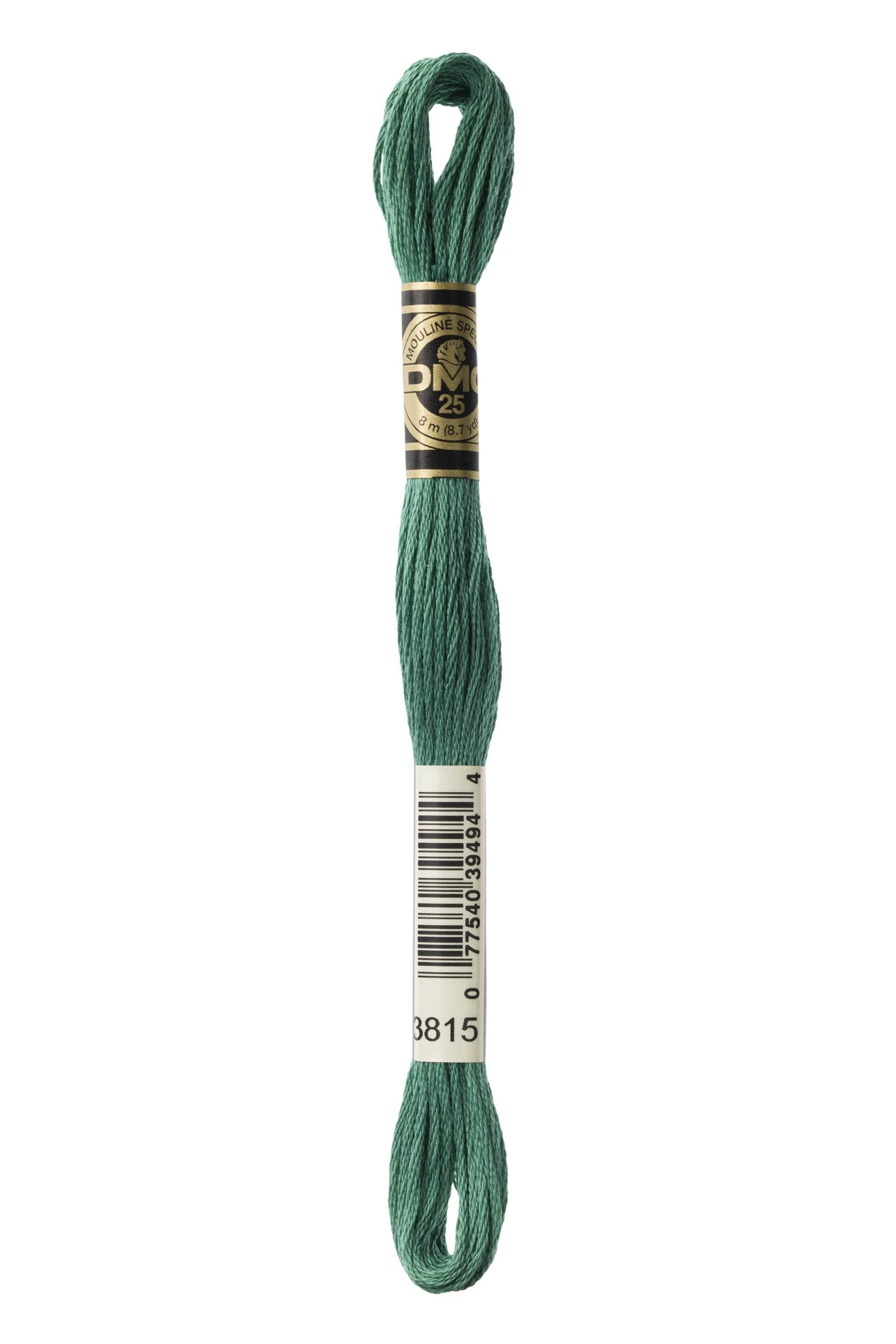 Zoom 3815
