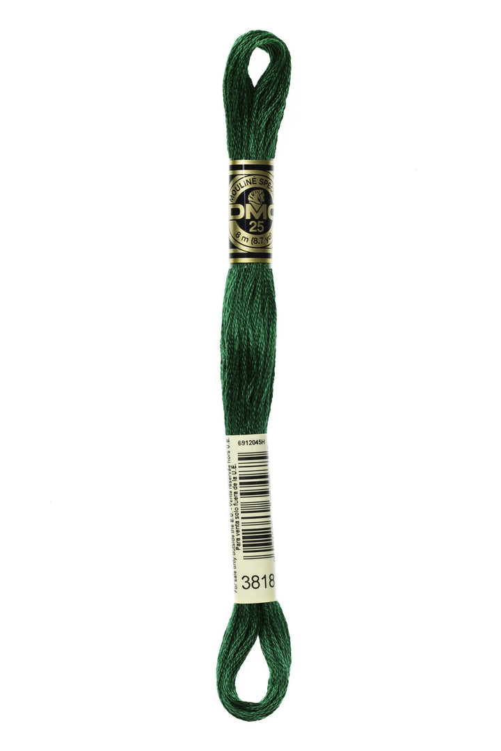 Mouliné Spécial 117MC VERDE - DMC - - LacariaRicami.Store