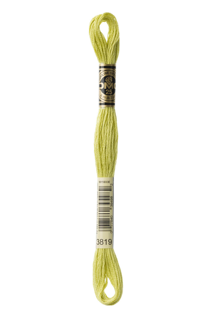Mouliné Spécial 117MC VERDE - DMC - - LacariaRicami.Store