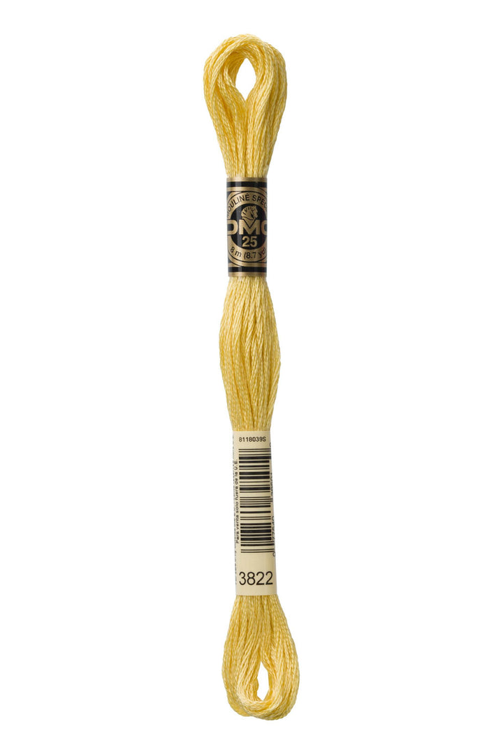 Mouliné Spécial 117MC GIALLO - DMC - - LacariaRicami.Store
