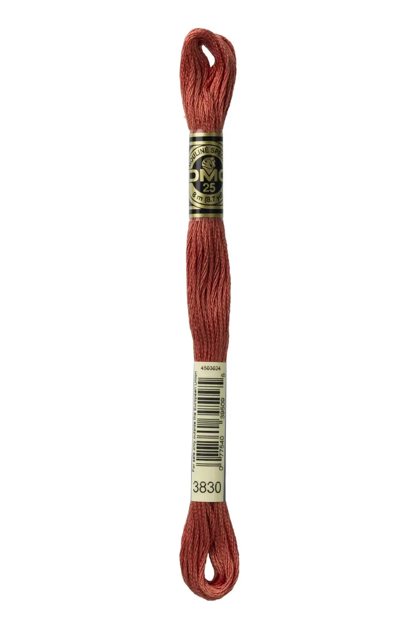 Mouliné Spécial 117MC ROSSO - DMC - - LacariaRicami.Store