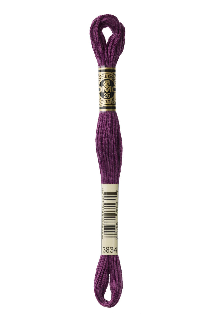 Mouliné Spécial 117MC VIOLA - DMC - - LacariaRicami.Store