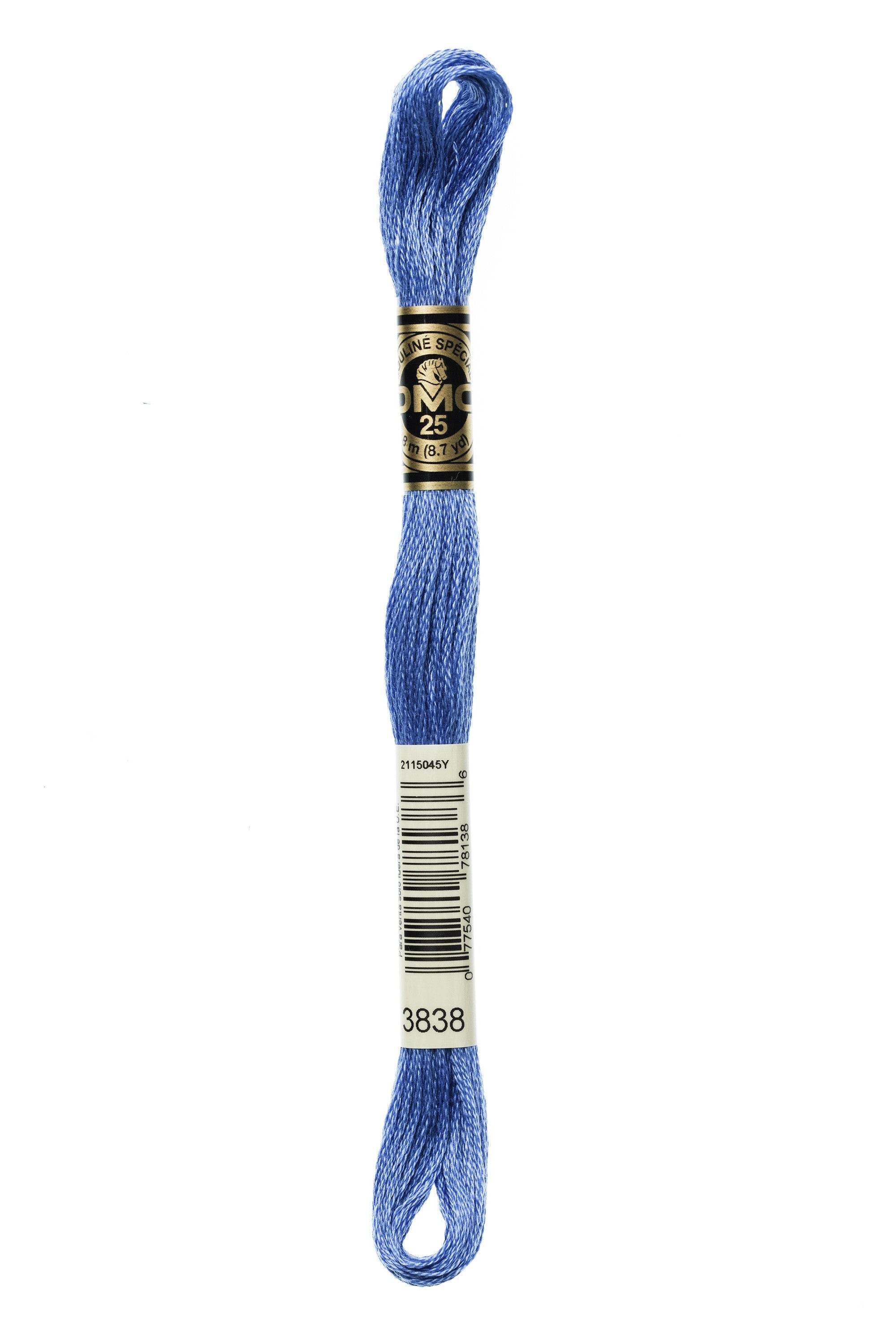 Zoom 3838