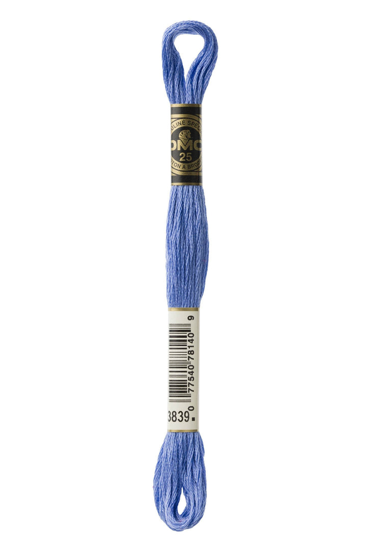 Mouliné Spécial 117MC BLU - DMC - - LacariaRicami.Store