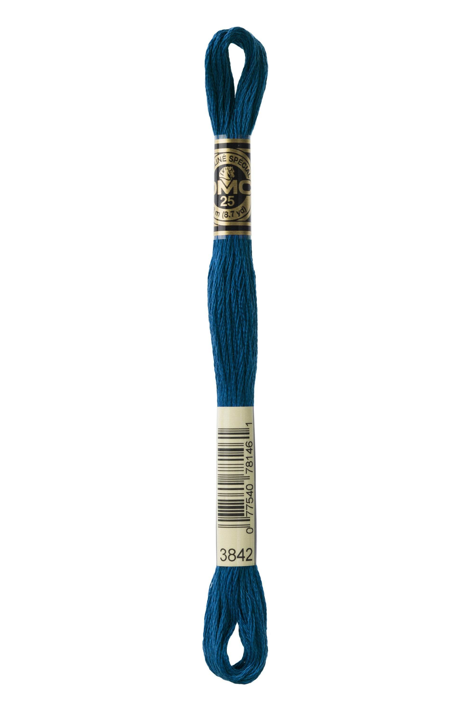 Zoom 3842