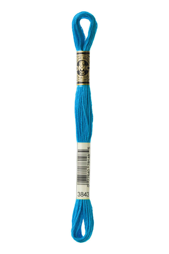 Mouliné Spécial 117MC BLU - DMC - - LacariaRicami.Store