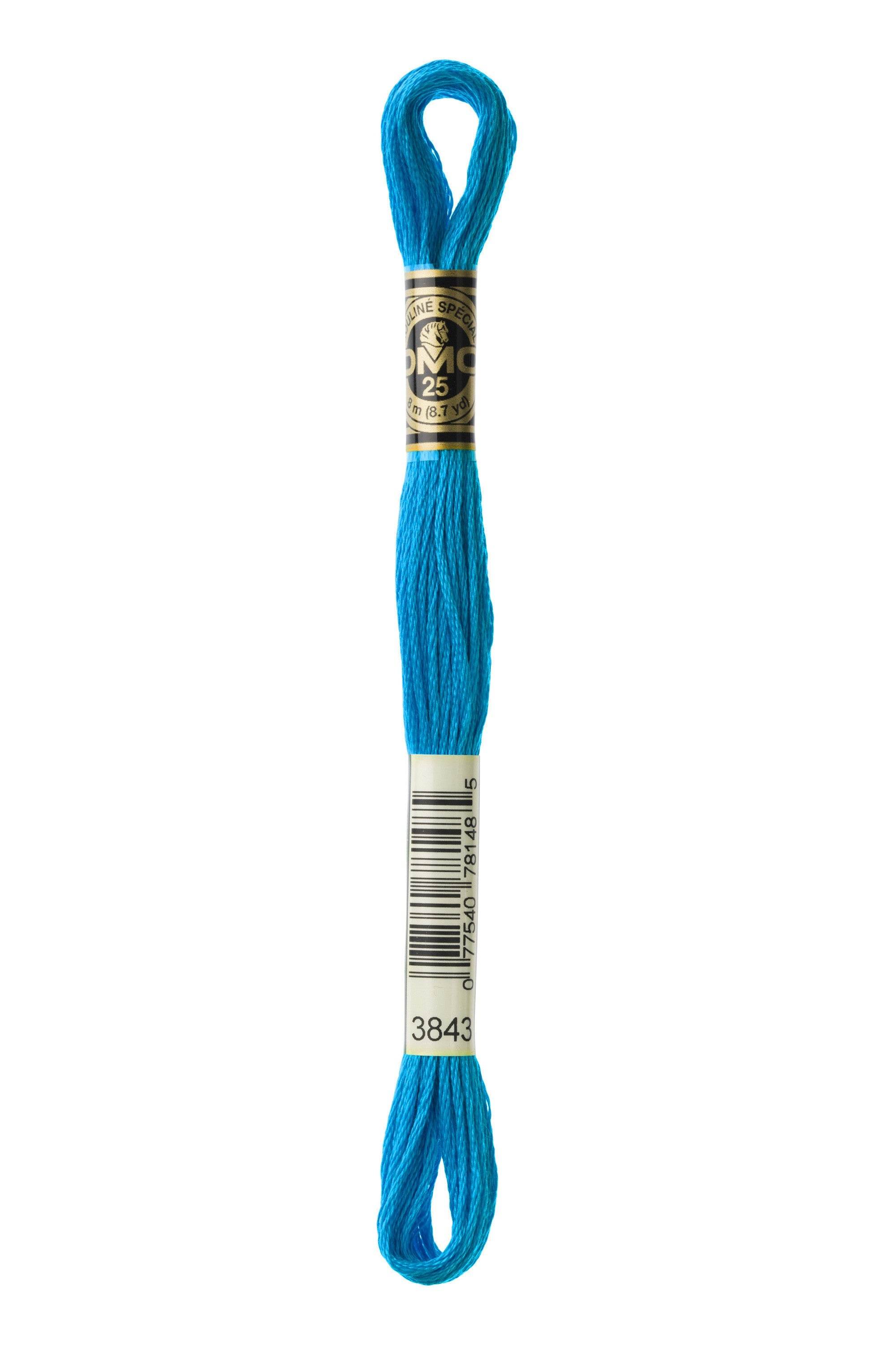 Zoom 3843