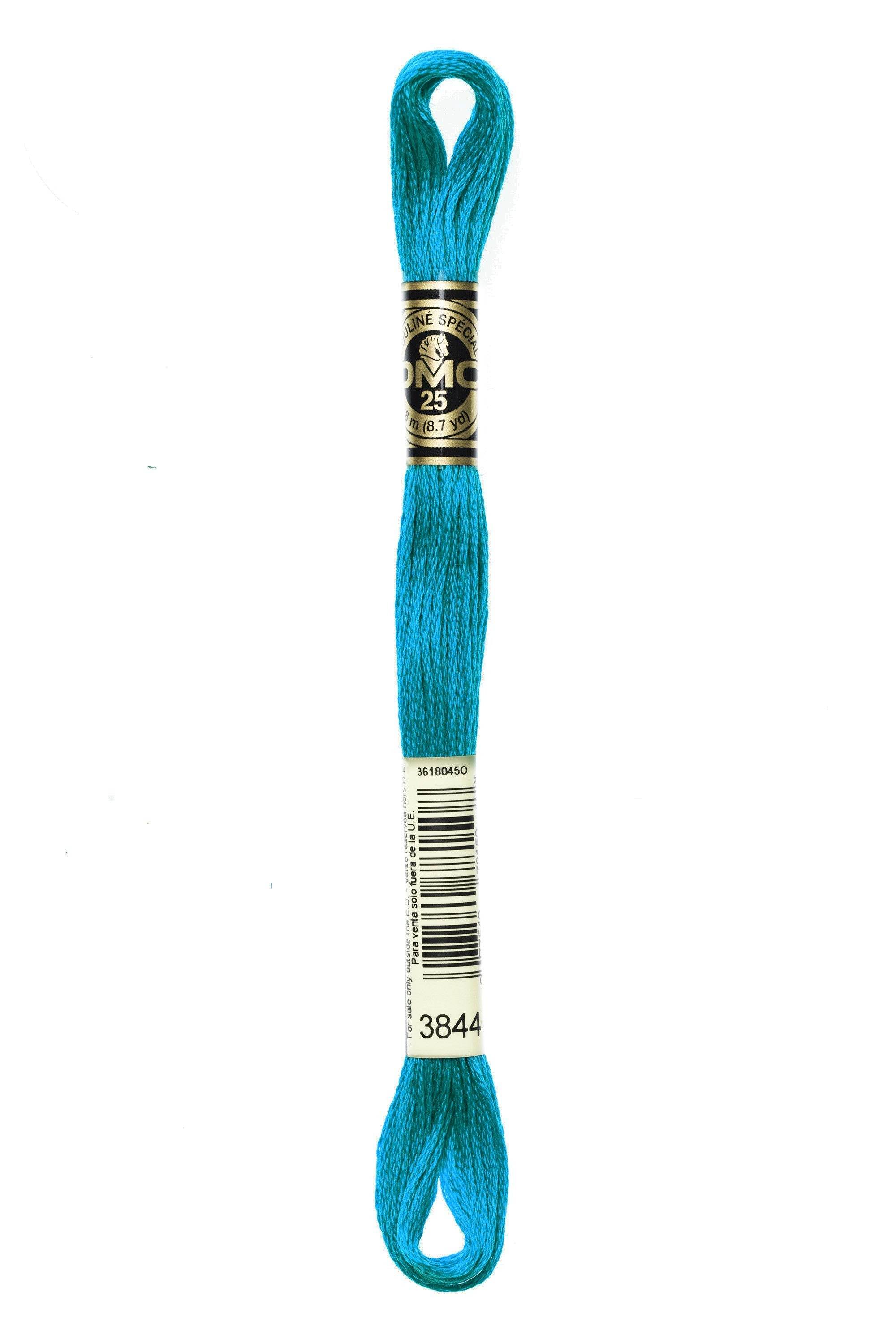 Zoom 3844