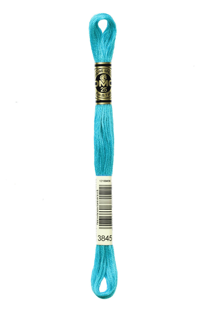 Mouliné Spécial 117MC BLU - DMC - - LacariaRicami.Store