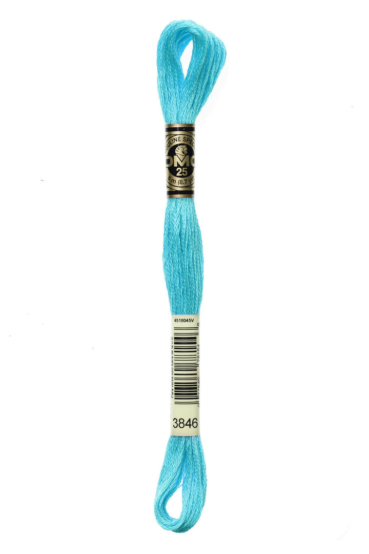 Mouliné Spécial 117MC BLU - DMC - - LacariaRicami.Store