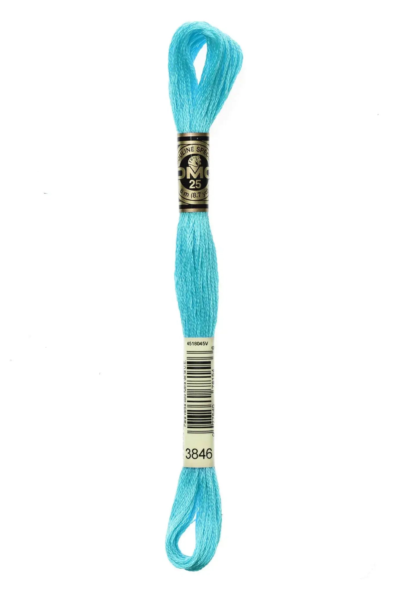 Mouliné Spécial 117MC BLU - DMC - - LacariaRicami.Store